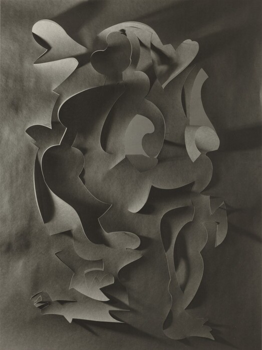 The image displays a complex arrangement of curved and angular shapes that interlock and overlap, creating an intricate composition. The abstract artwork resembles cut-out paper silhouettes, with forms that could be interpreted as leaves, waves, or stylized birds. The play of light and shadow provides depth to the shapes, giving the appearance of a three-dimensional collage made from familiar curved and pointed forms.