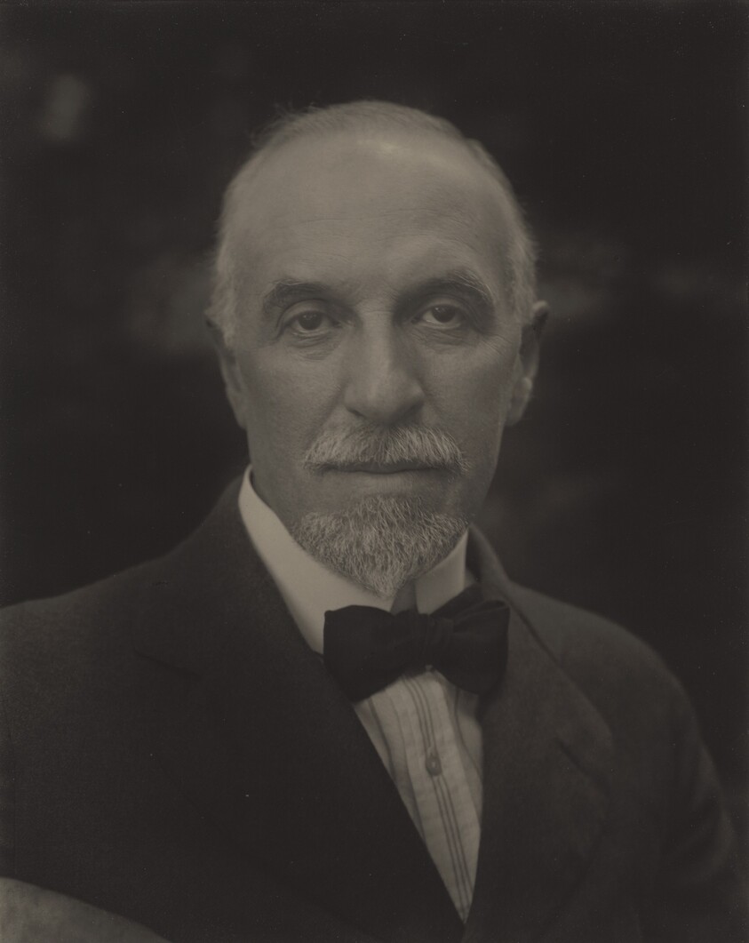 Professor Julius Stieglitz