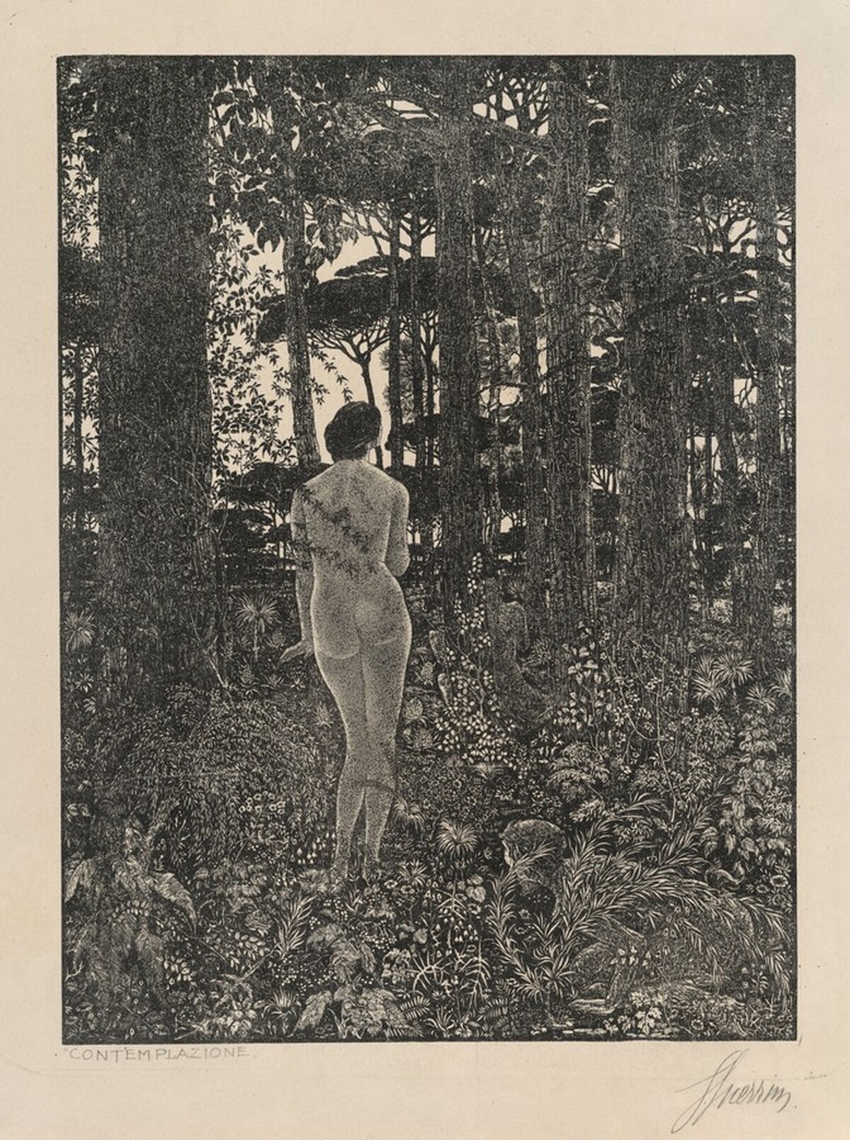 Contemplazione (Contemplation, or the Nymph and the Satyr)