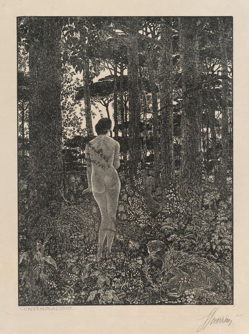 Contemplazione (Contemplation, or the Nymph and the Satyr)