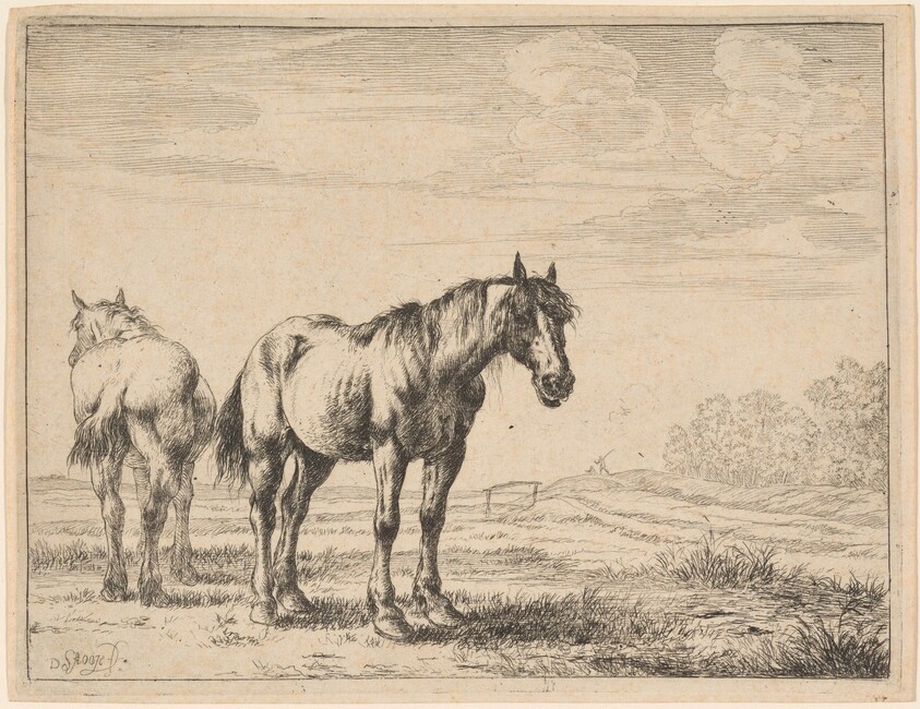 Two Plow Horses Standing in a Field