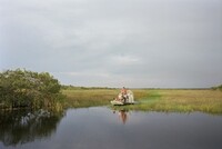 Everglades, Florida I 1983, Mitch Epstein, 1983, printed 2025