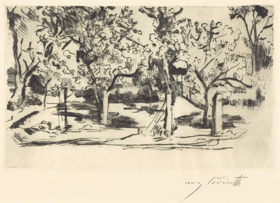 The image depicts a tree-filled area, with a ground-level perspective within the trees. The horizon line is unclear and the focus is on the trees. The artwork is created in a sketch-like style with loose brushstrokes. The color palette is monochromatic, in shades of black and white. Post-like structures are visible throughout the composition, leading the eye into a cluster of trees in the background. Vegetation details are minimally suggested to keep the focus on the central group of trees.