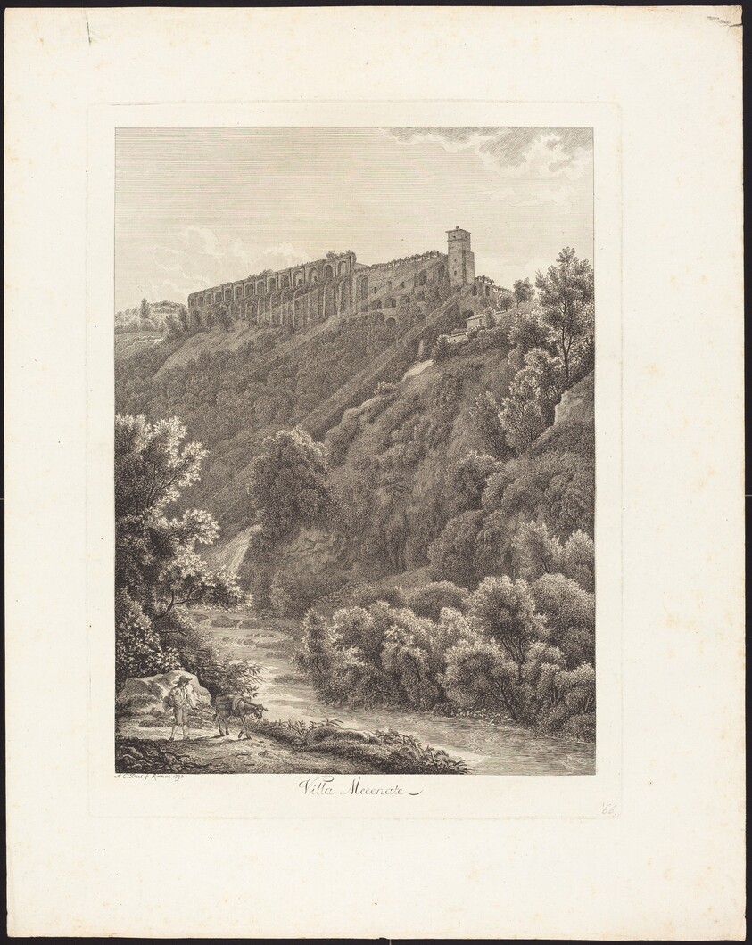 Villa Mecenate