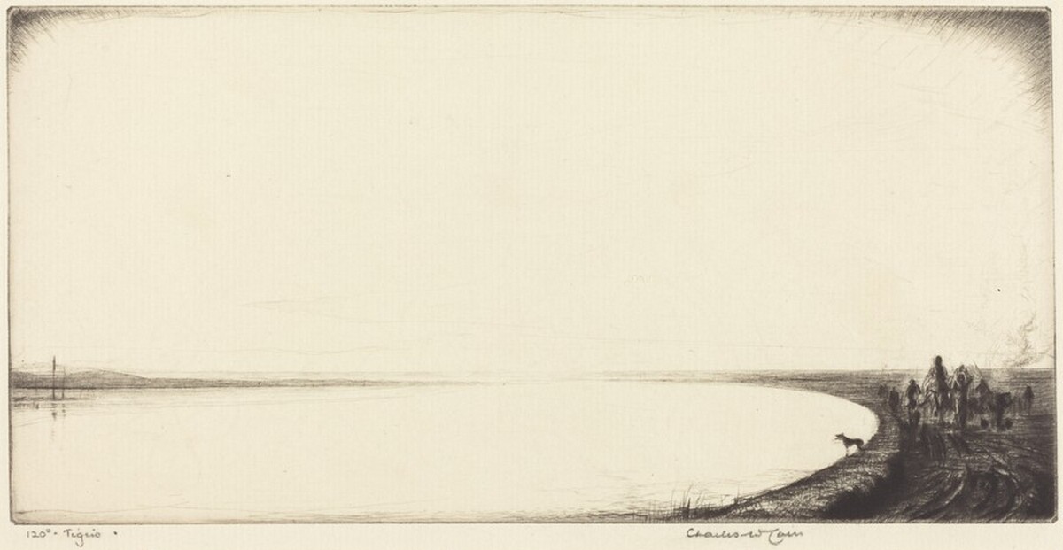 120 Degrees - Tigris