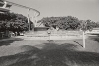 Miami, Gus Kayafas, 1984