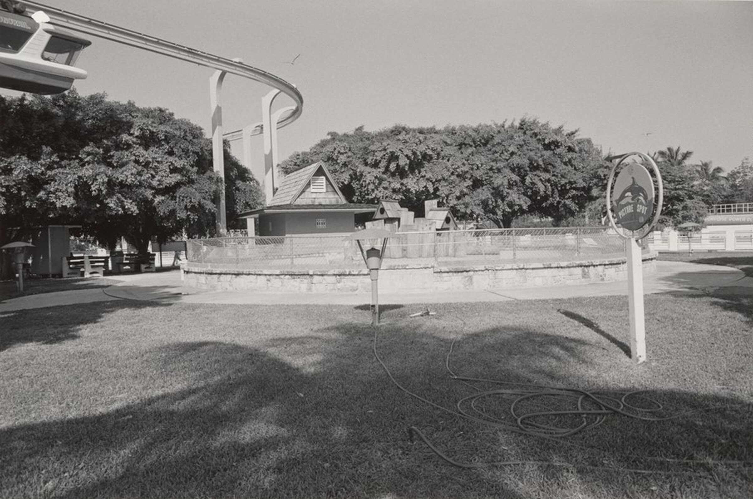 Miami, Gus Kayafas, 1984
