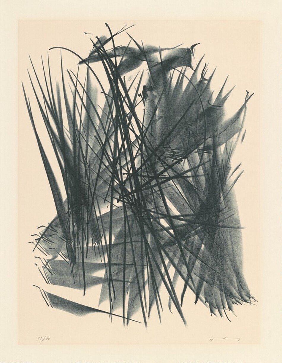 Hans HARTUNG PIERRE DAIX ハンス・アルトゥング 大判 画集