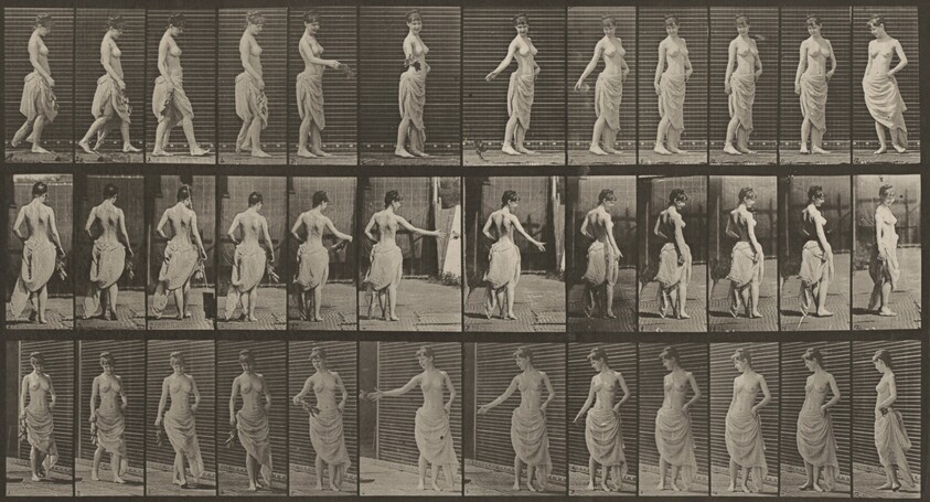 Plate Number 53. Walking, scattering flowers and turning around