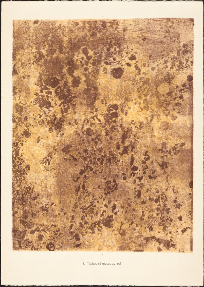 Taches reveuses au sol