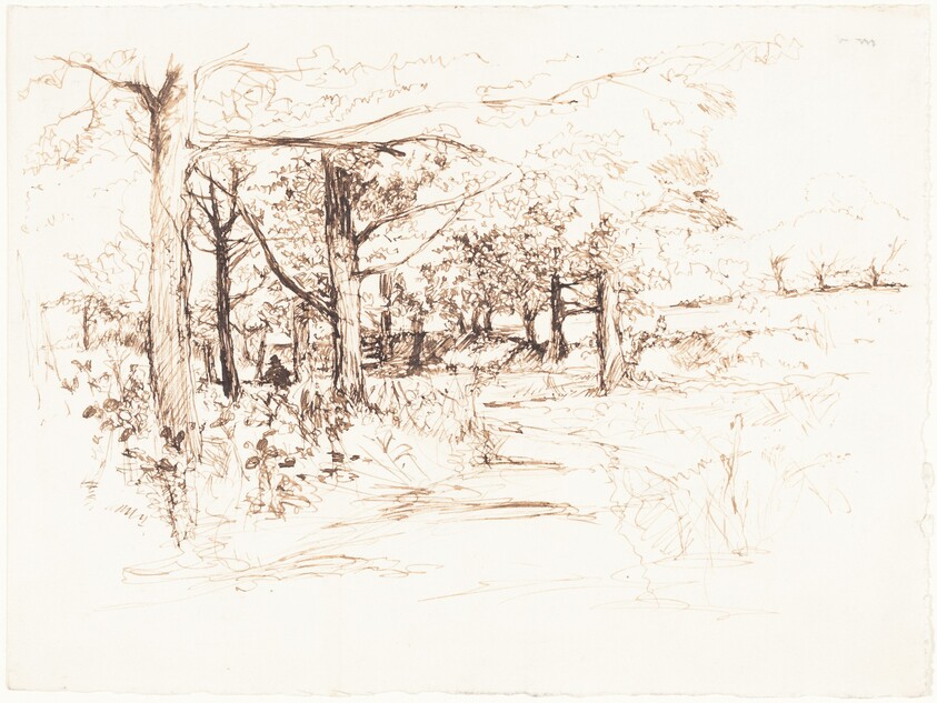 Landscape with a Tree-Lined Lane