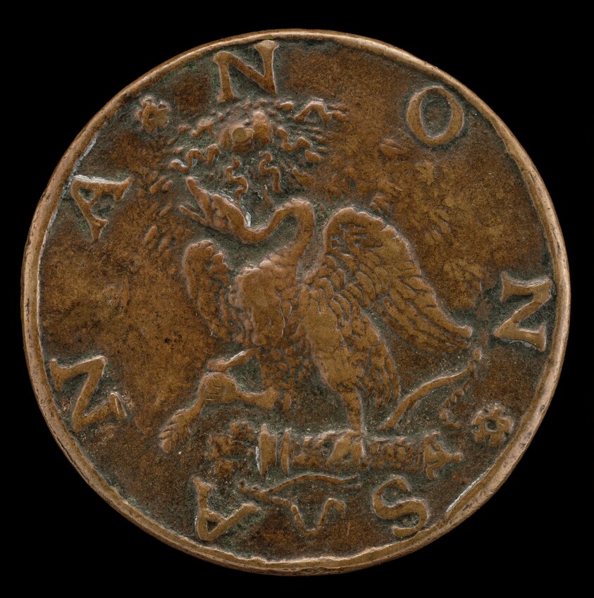 Wounded Swan [reverse]