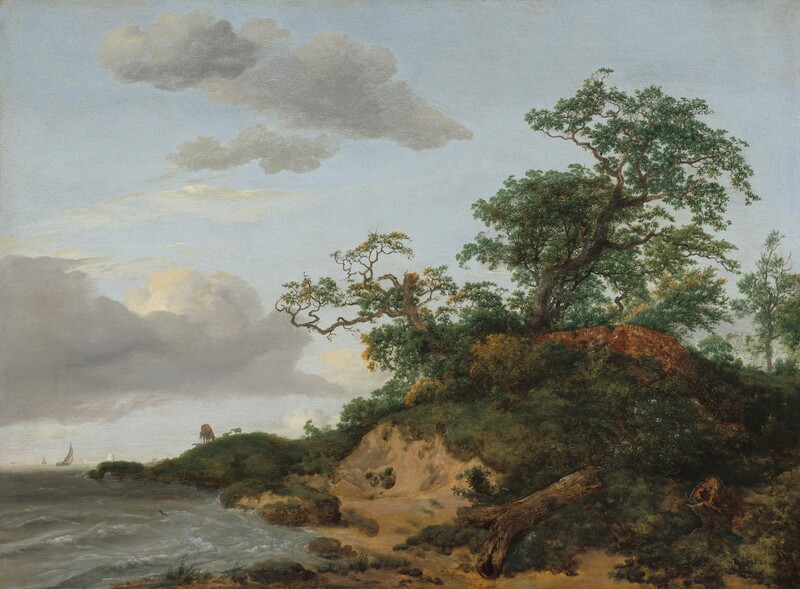 Water laps at a curving shoreline in front of a steep sandy dune carpeted in grass, shrubs, and trees in this horizontal landscape painting. The dune takes up the lower right quadrant of the composition. A few broken tree trunks are overgrown with vines and plants across the top and down the sloping side of the dune facing us. A red brick wall cuts through the vegetation up the side of the dune and disappears into the shrubbery at the top. The twisting branches and canopies of three large trees reach into the upper right quadrant of the composition. The vegetation stops abruptly along the sheer edge of the dune where it faces the water. The land curves like a backward capital letter C so it almost reaches the left edge of the painting along the horizon, which comes a quarter of the way up the composition. A cow and three more animals, perhaps sheep or more cows, graze or lie on a grassy mound in the distance, and sailboats line the horizon in the deep distance. White ripples swirl in the steel-blue water. The artist signed and dated the lower center, “J Ruisdael . 1648.”