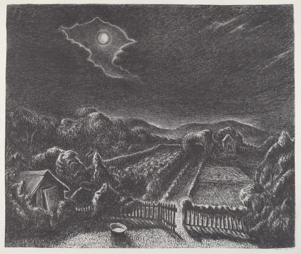 Moonlight
