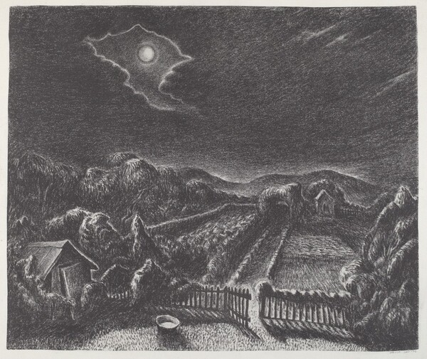 Moonlight