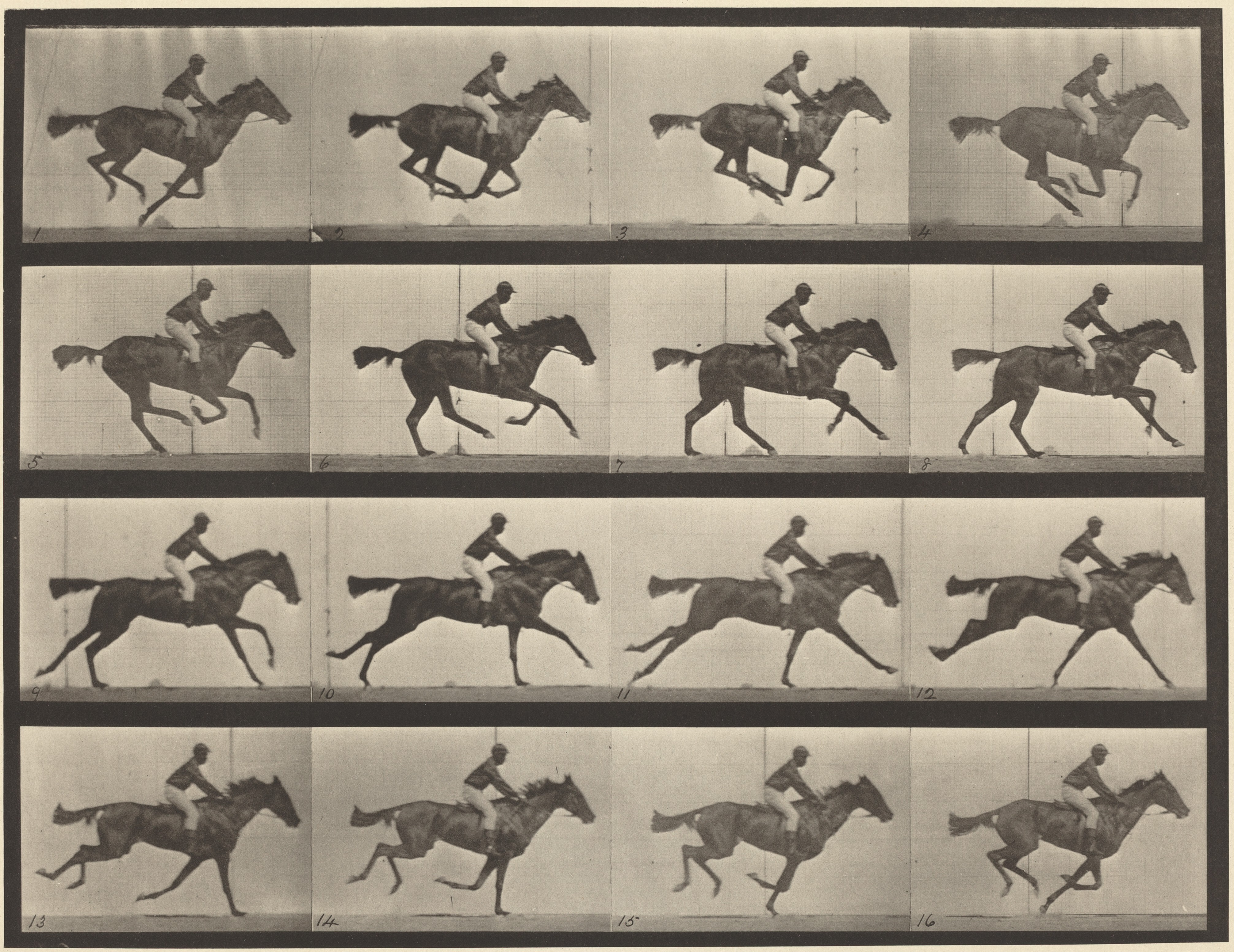 【2024秋冬新作】 Plate by G. Annie mare, bay thoroughbred Gallop, 626. Number 競馬