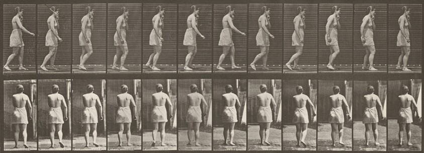 Plate Number 543. Spastic walking