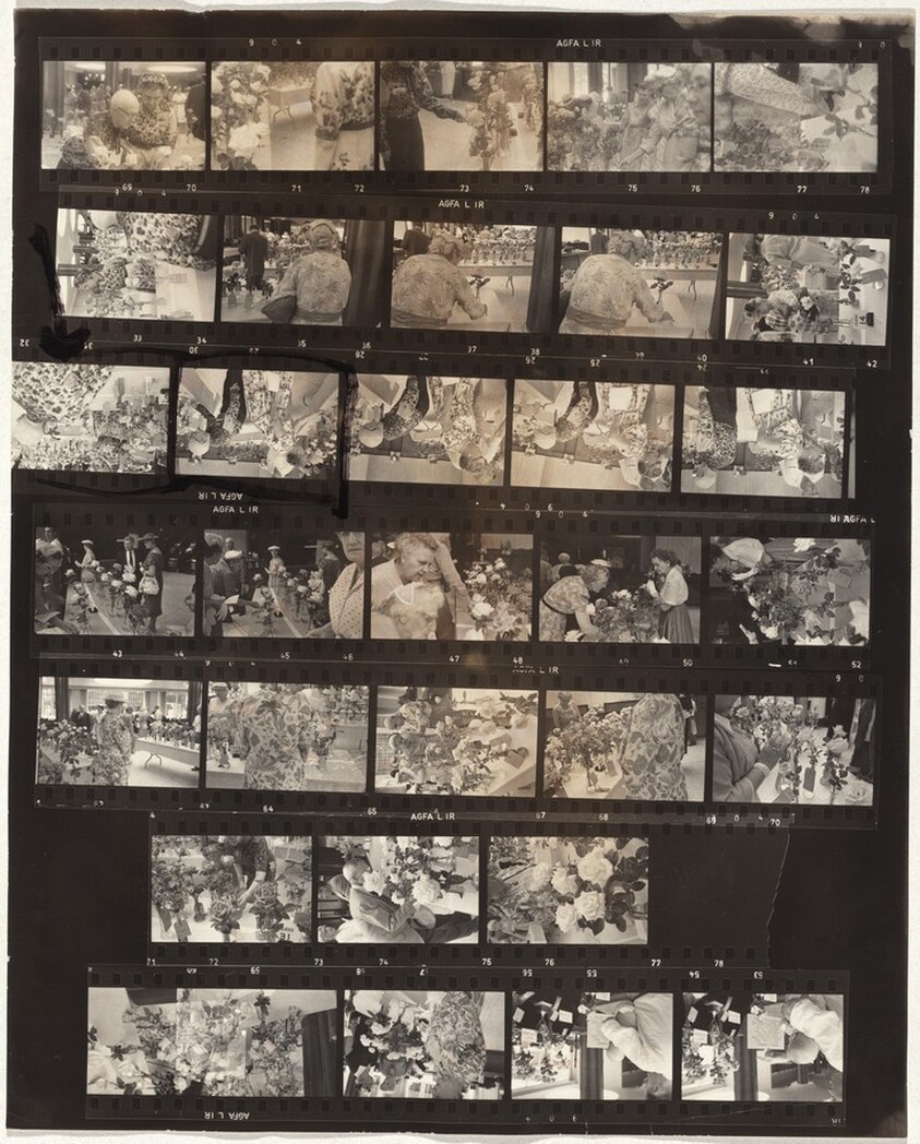 Rose show--Denver no number