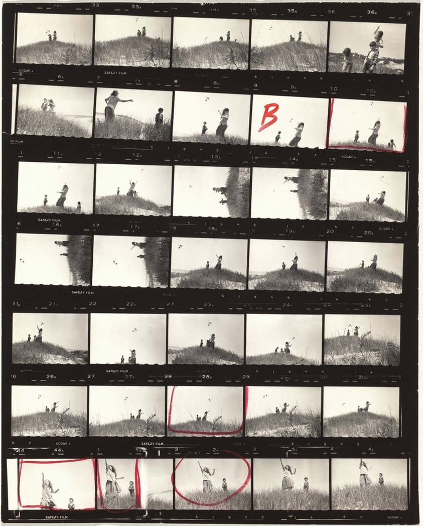 Kite flying--Provincetown B