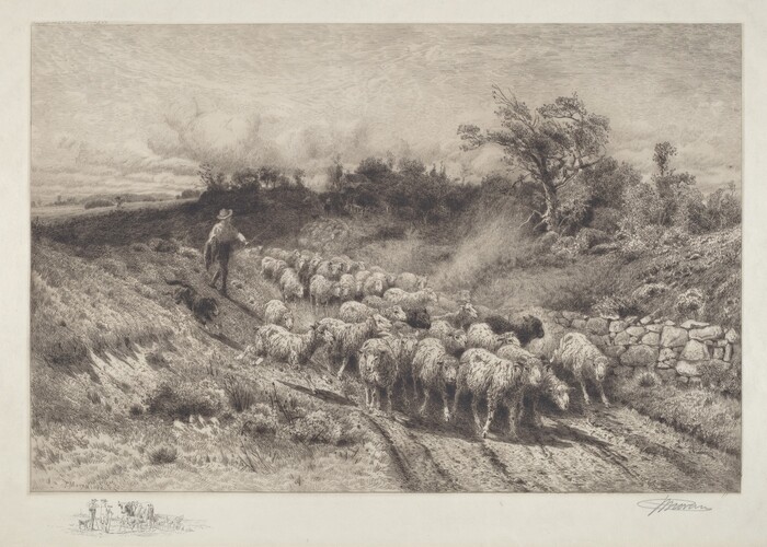 The image shows a shepherd and his flock of sheep moving along a dirt path. The sheep are close together, displaying detailed textures of their woolly coats. A dog accompanies the shepherd. A stone wall borders the path, with lush grasses and bushes on the right. In the distance, the land rises gently with scattered trees across rolling hills. The horizon is low, and the sky has swirling clouds. The color palette is limited to black and beige, resembling an etching.