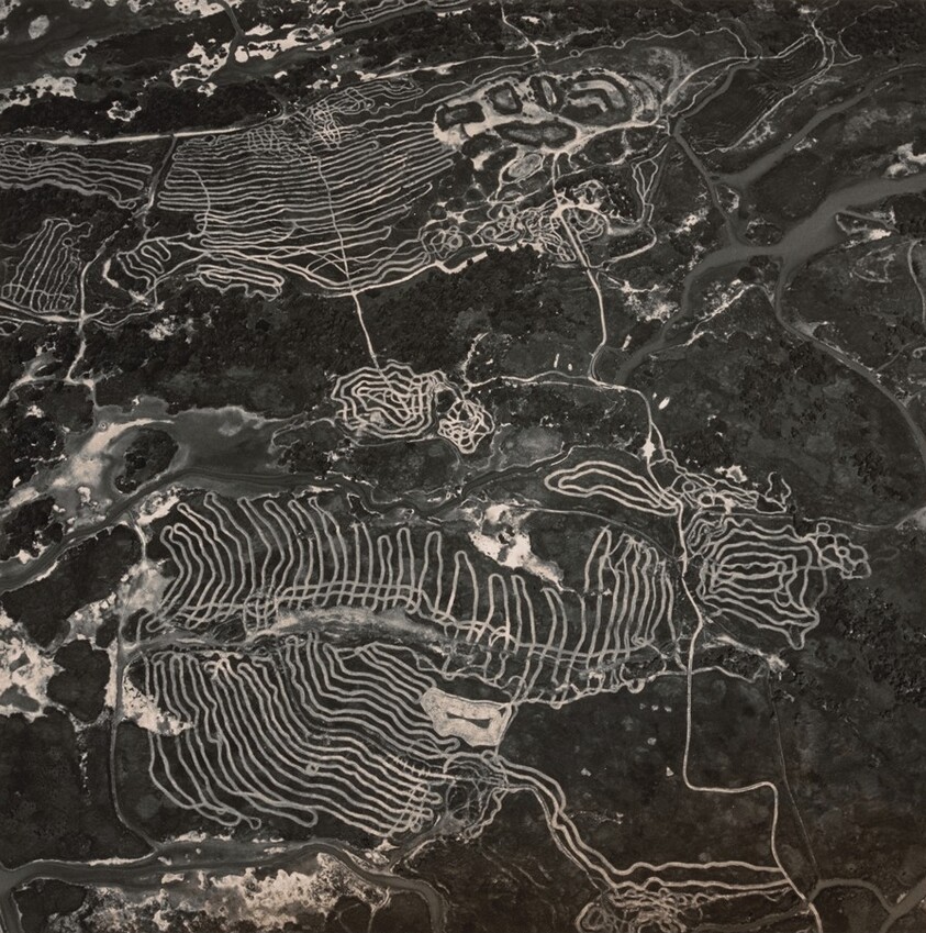 Waterfowl Nesting Site and Wetland Area Restoration near Sutter Buttes, California