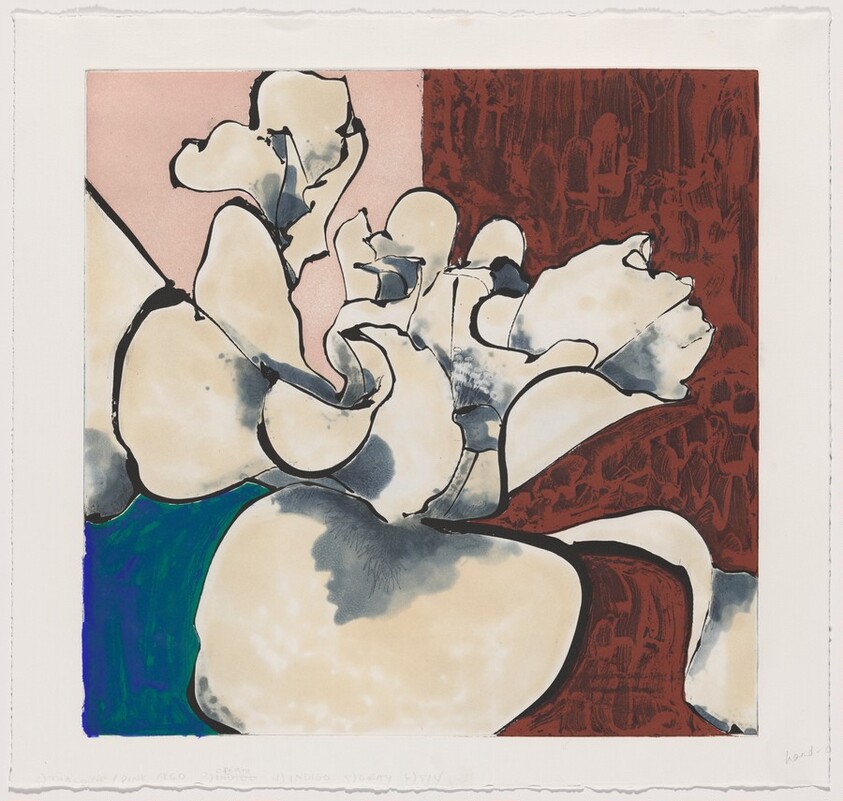 Camellia White [working proof 6]