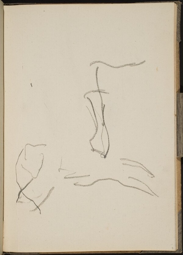 Begonnene Tierstudie (Unfinished Animal Study) [p. 5]