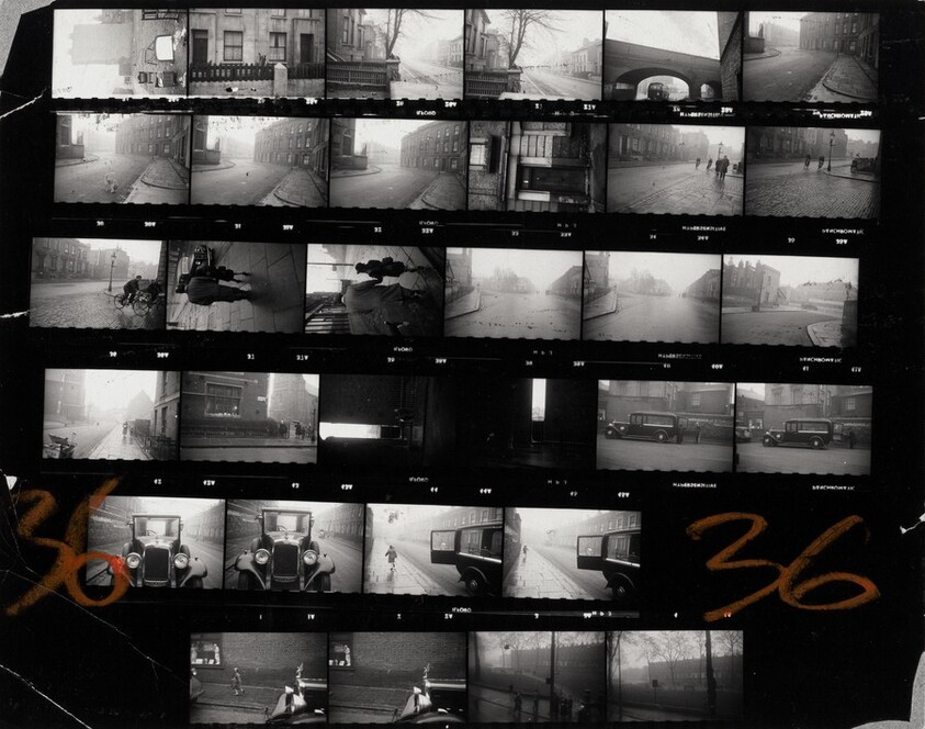 Belsize Crescent--London 36/Lines of My Hand 49