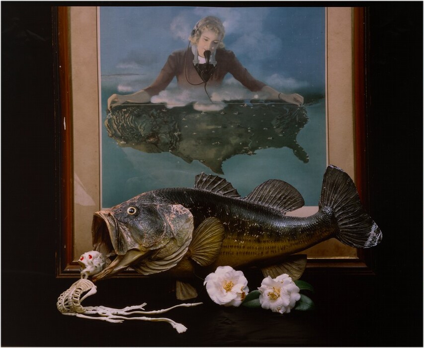 The image features a taxidermy fish with a skeleton inserted into its open mouth. Behind it, there is a framed painting of a woman wearing headphones, speaking into a microphone, with her arms resting on an abstract landmass or map. The color palette includes dark greens and browns for the fish, light blue and muted tones for the painting, and white flowers in front of the fish. The fish is centered slightly to the right, with the flowers below and the painting centered behind them.