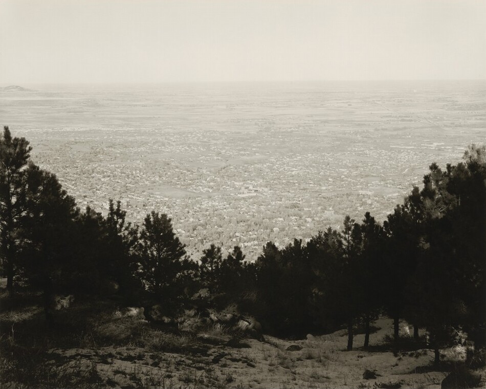 A dark, shallow V of trees in the bottom half of this horizontal black and white photograph silhouetted against a distant, light-filled landscape. The flat land beyond resembles a vast, sparkling body of water at first glance, but a closer look reveals more trees on snowy ground. The horizon comes more than three-quarters of the way up this composition, and the sky is blank white above.