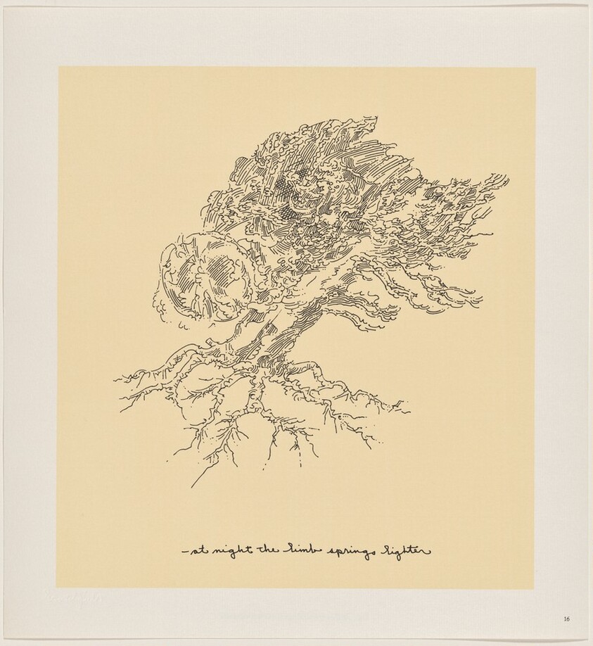 Owl Feathers: page 16