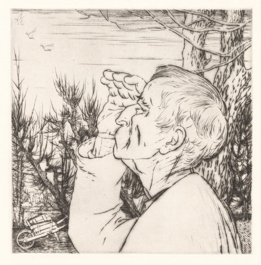 Le Vol de Oiseaux (The Flock of Birds) [plate 8]