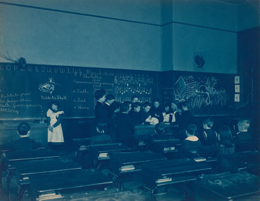 Learning about Rabbits, Washington, D.C.