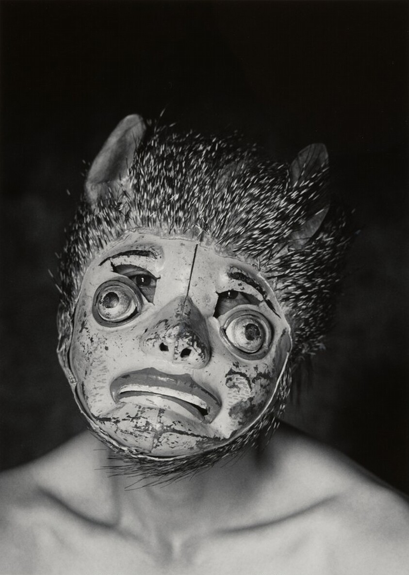 Sixto, Altos de La Paz, Bolivia