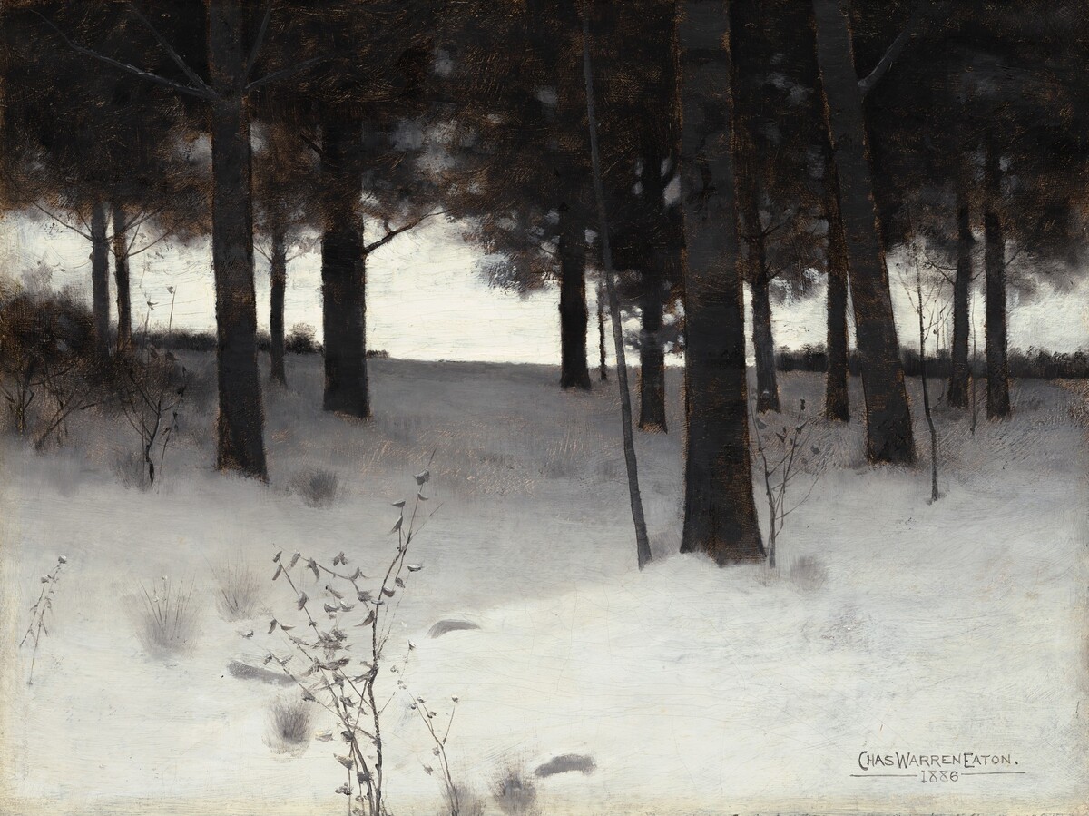 Woods in Winter