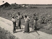 Yazoo Delta, Mississippi, Dorothea Lange, 1938, printed 1965