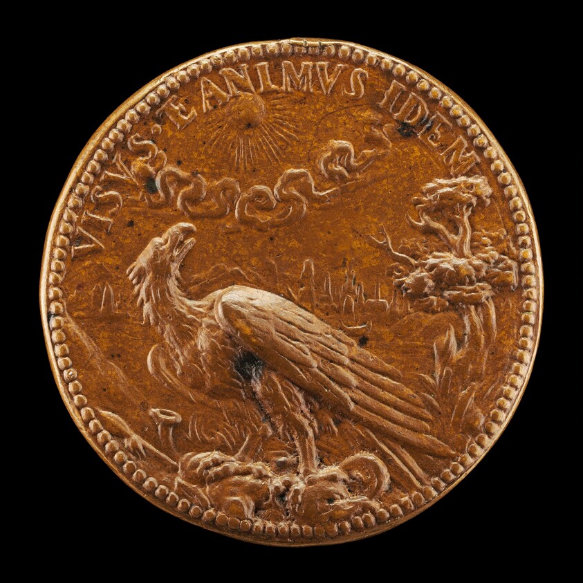 Eagle Looking at the Sun [reverse]