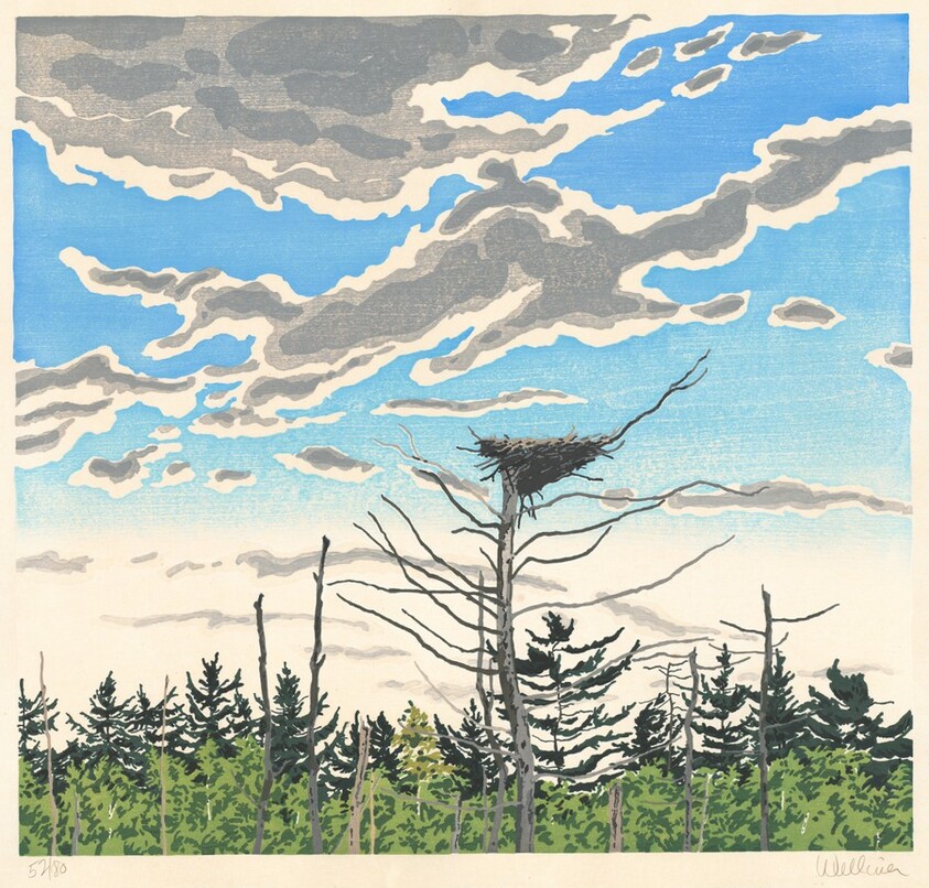 Osprey's Nest