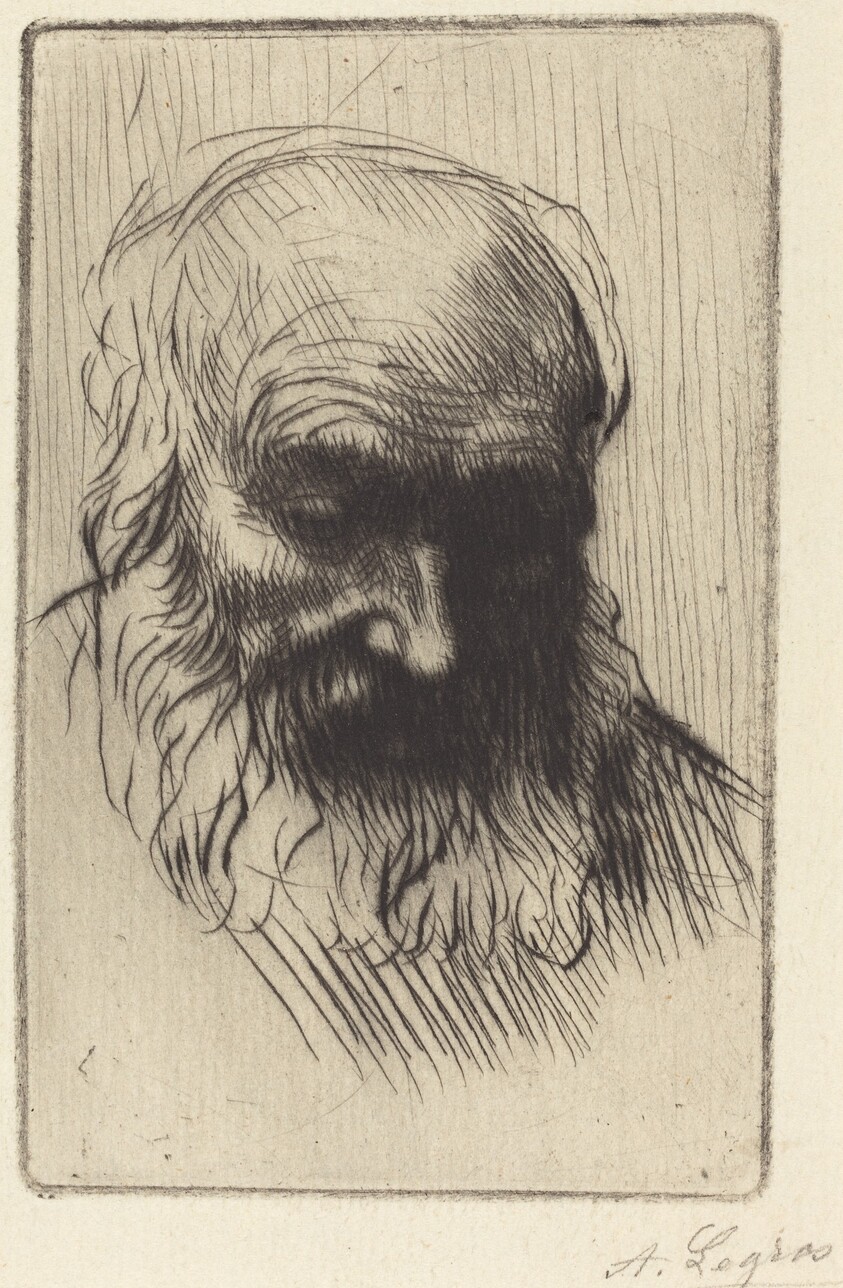 Head of an Old Man (Etude de tete)