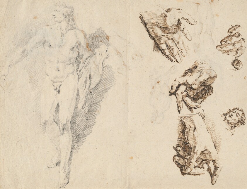 Apollo and Studies of the Artist's Own Hand [recto]
