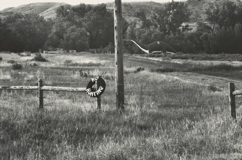 No Hunting, Dinosaur