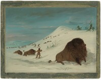 Buffalo Lancing in the Snow Drifts - Sioux, George Catlin, 1861/1869