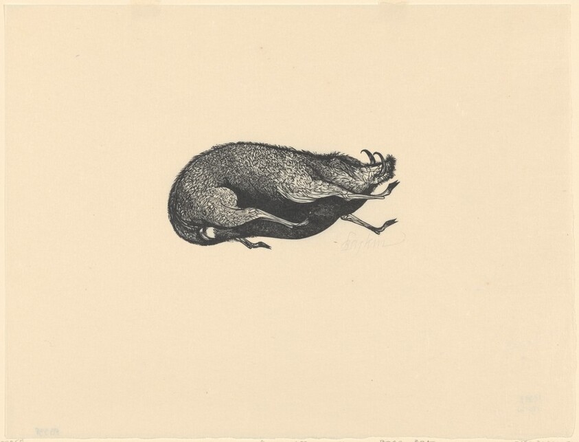 Boar, from Flaubert's "St. Julien the Hospitaller"