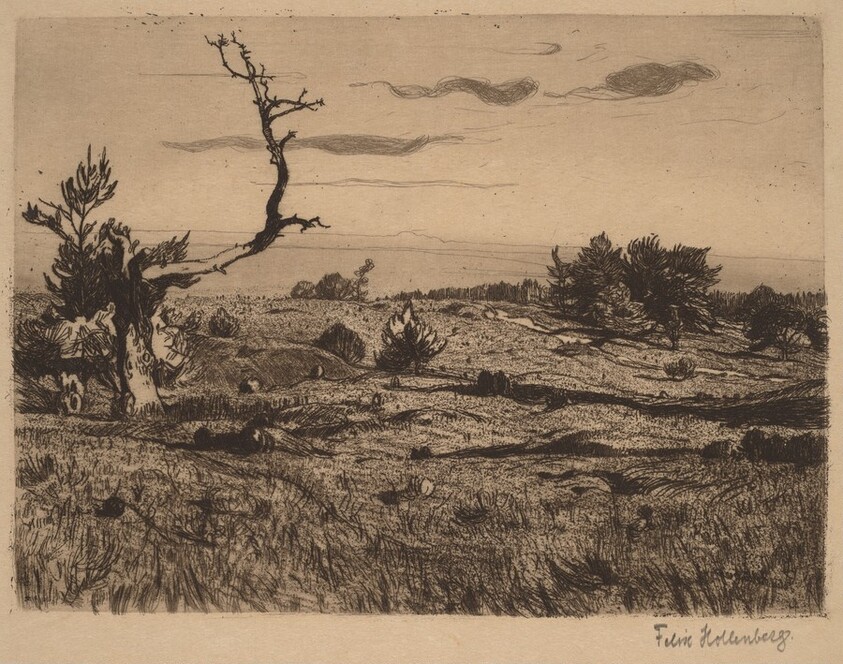 Heath with a Weathered Pine and a Path