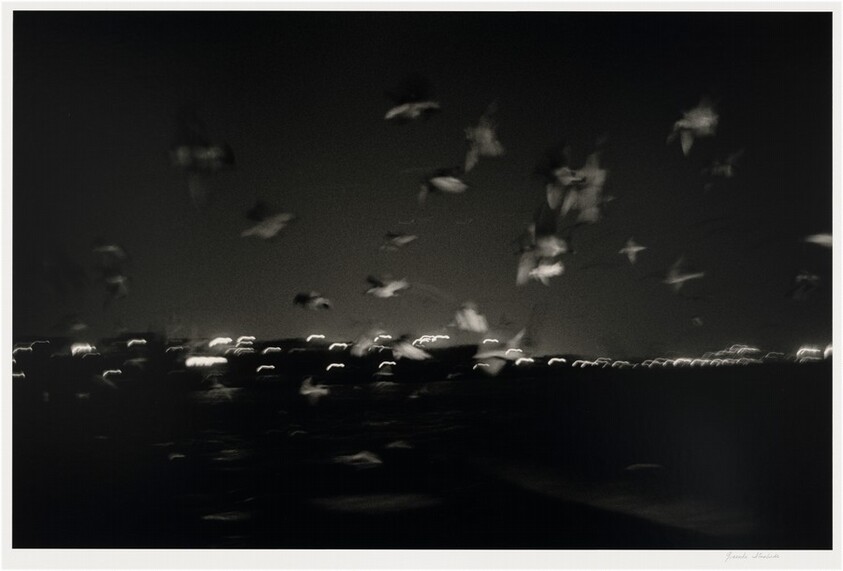 Pájaros en la noche, Inglaterra (Birds in the Night, England)