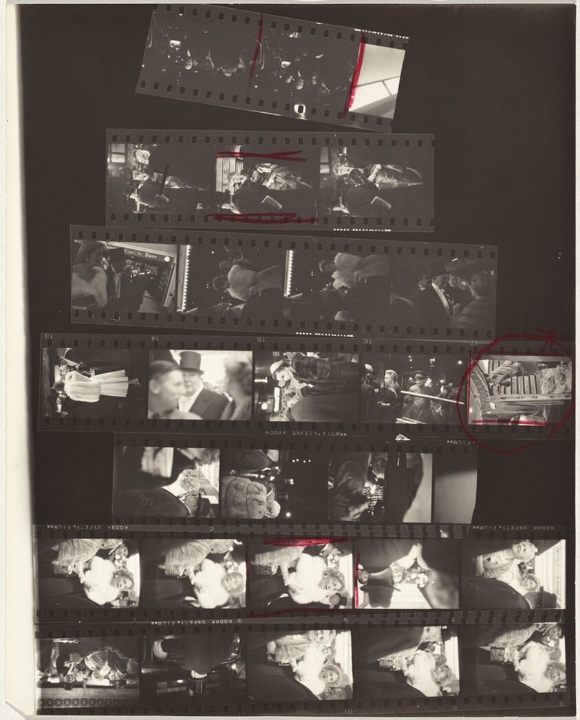 Horse show opening 2