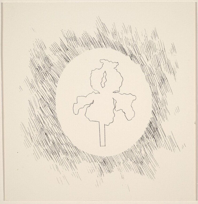 Players Dracula Primero