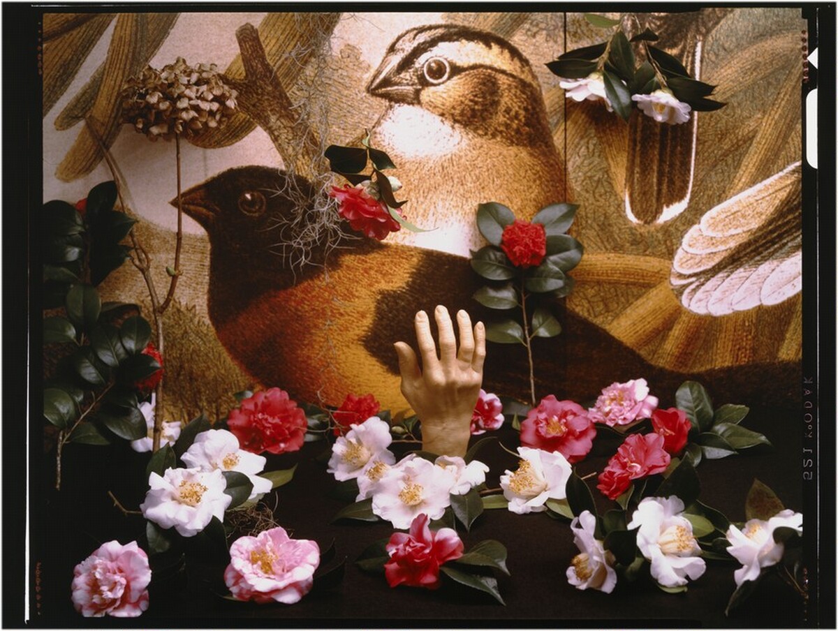Hand of Man