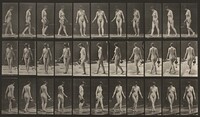 Plate Number 51. Walking, turning around and using a sprinkling pot, Eadweard Muybridge, 1887