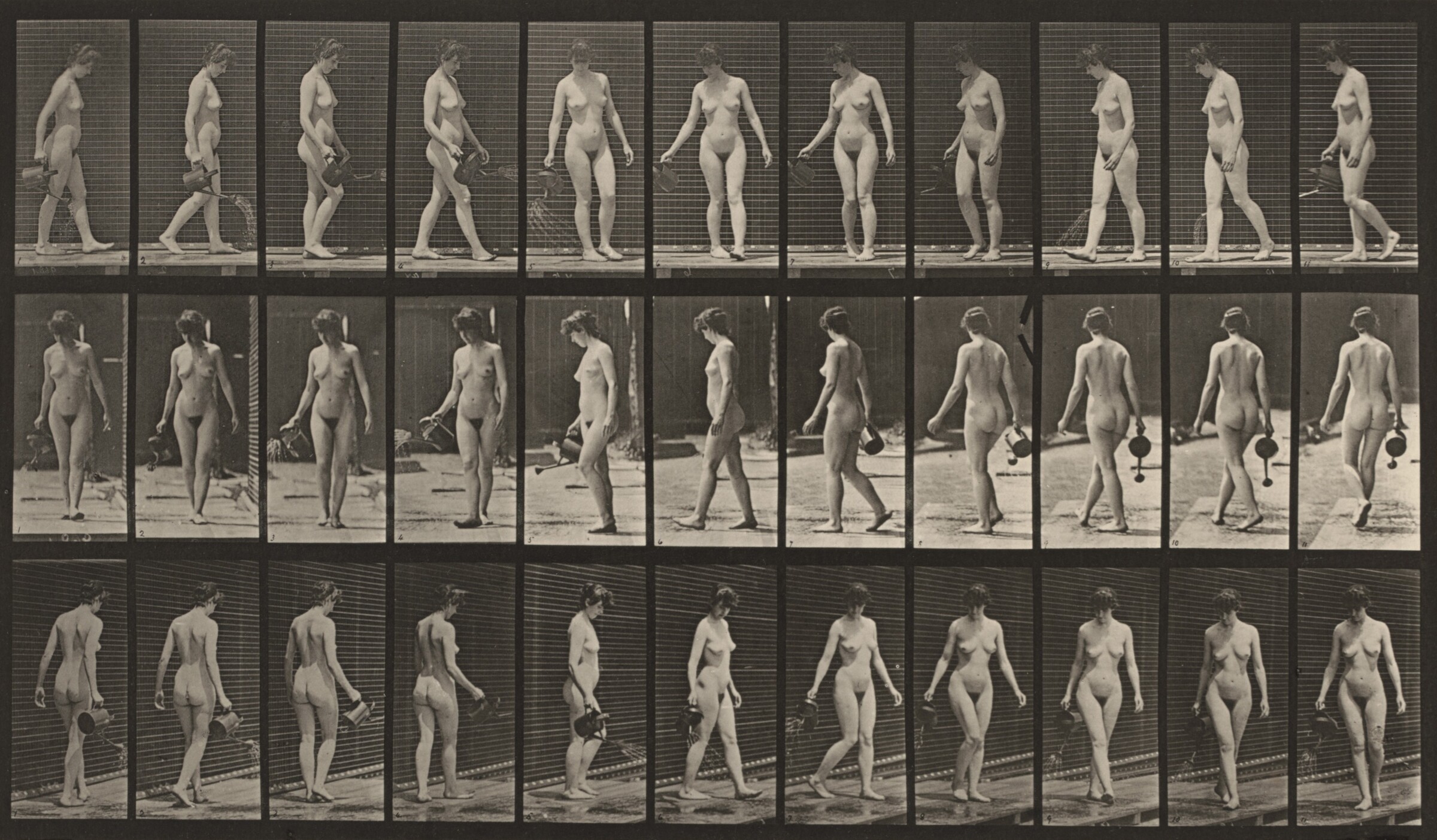 Plate Number 51. Walking, turning around and using a sprinkling pot, Eadweard Muybridge, 1887